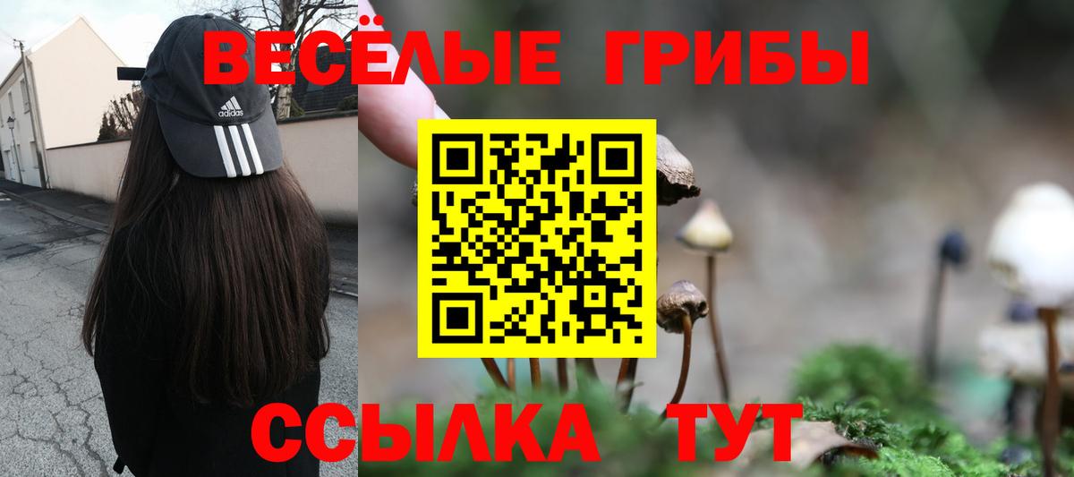 Уссурийск  Галлюциногенные грибы Cubensis  Вход с VPN  Галлюциногенные грибы мухоморы 
